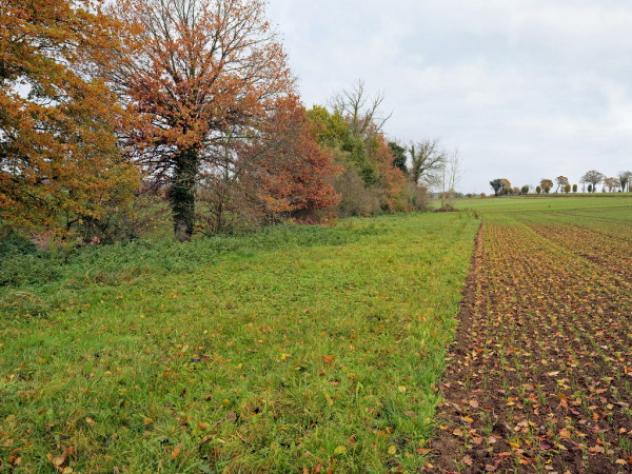 pentavano in vendita a Bologna in zona San Donato