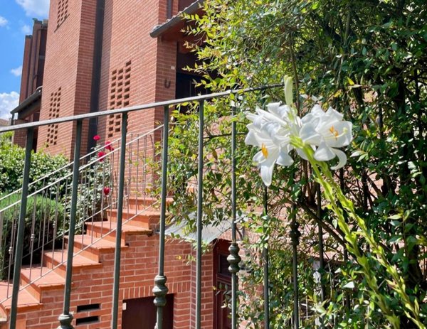 pentavano in vendita a Bologna