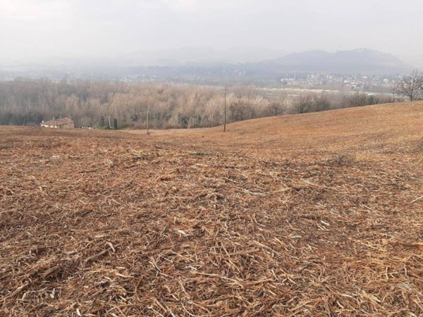 terreno agricolo in vendita a Bologna in zona Casaglia