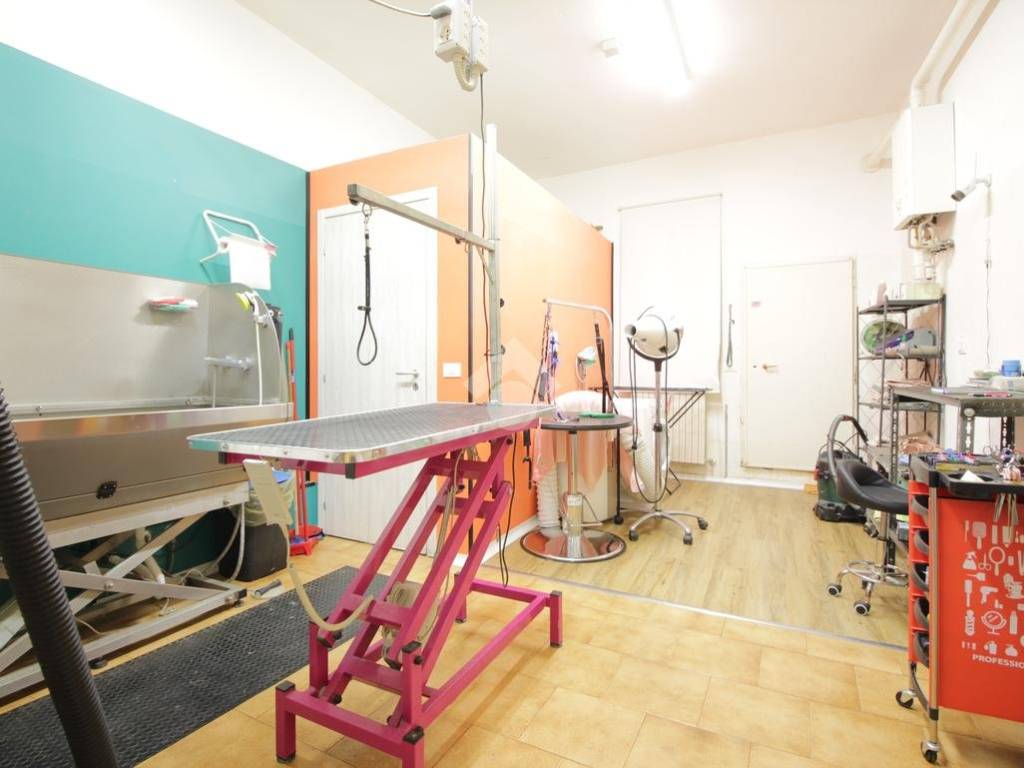 negozio in vendita a Bologna in zona Saffi