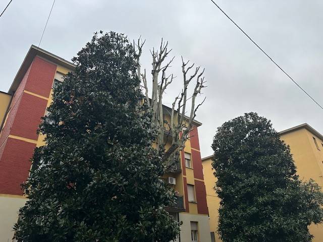 appartamento in vendita a Bologna in zona Santa Viola