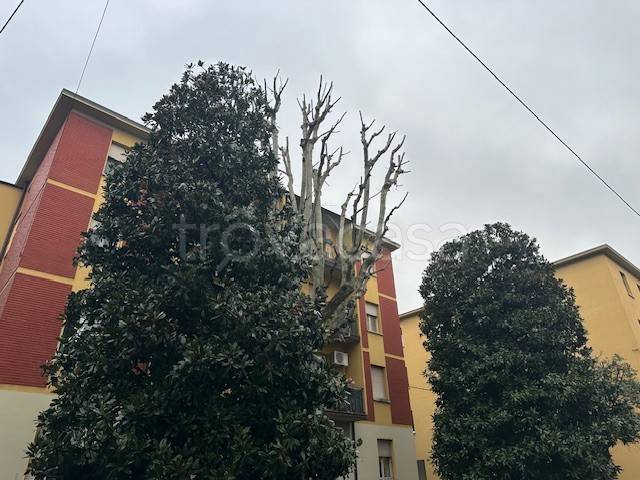 appartamento in vendita a Bologna in zona Santa Viola