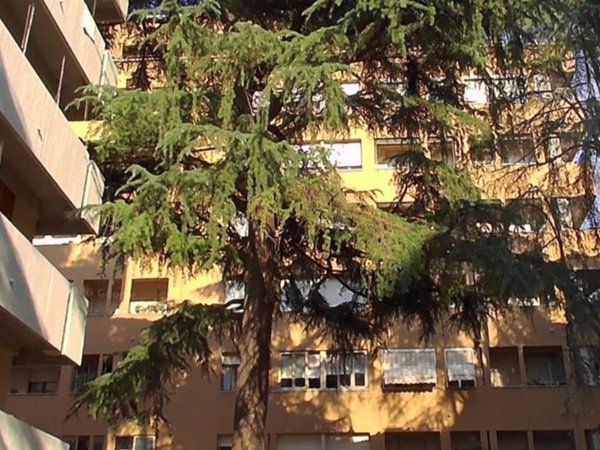 appartamento in vendita a Bologna in zona San Vitale