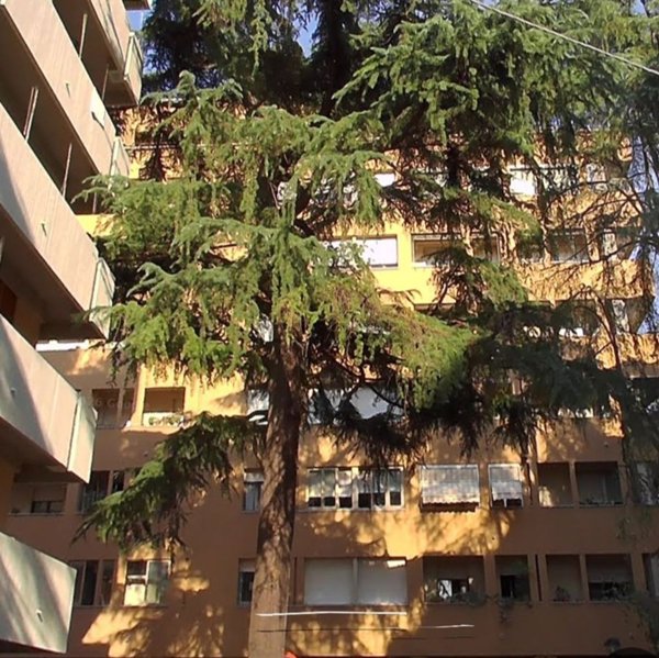 appartamento in vendita a Bologna