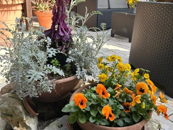 appartamento in vendita a Bologna in zona Savena