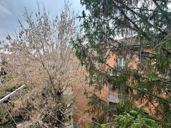 appartamento in vendita a Bologna in zona Bolognina