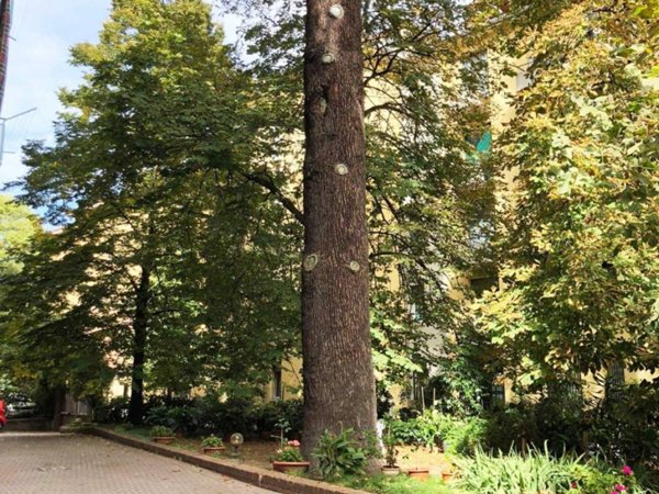 appartamento in vendita a Bologna in zona Colli