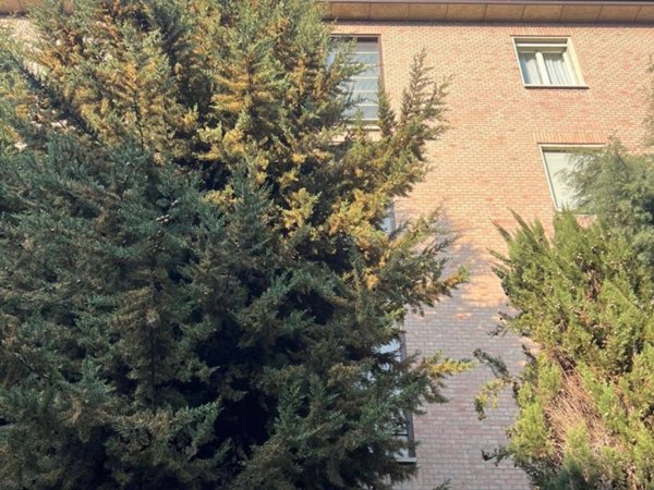 appartamento in vendita a Bologna in zona Saffi