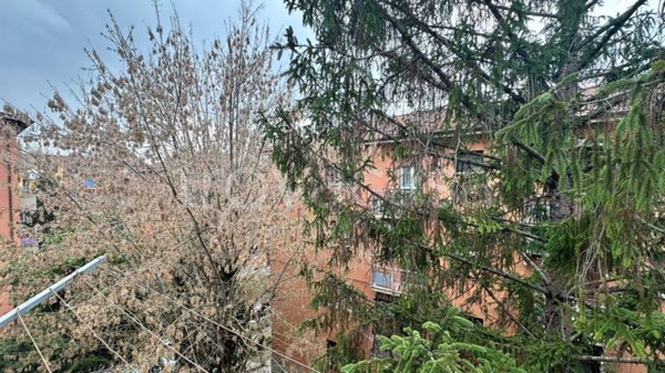 appartamento in vendita a Bologna in zona Bolognina
