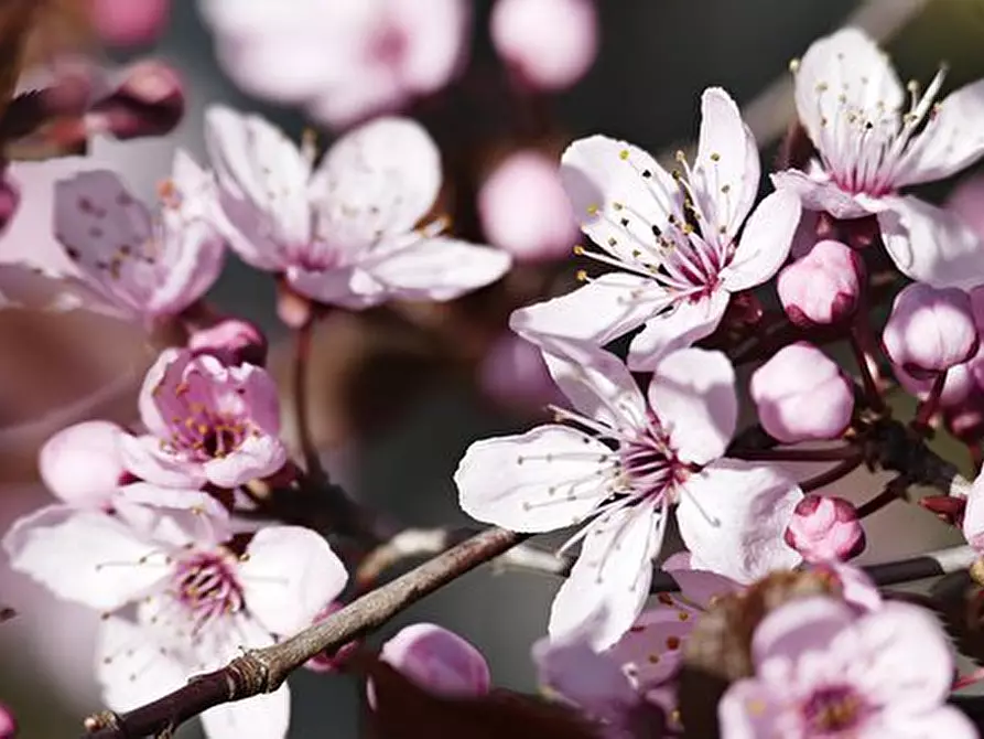 negozio in vendita a Bologna in zona Savena