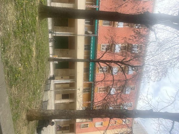 appartamento in vendita a Bologna in zona Borgo Panigale