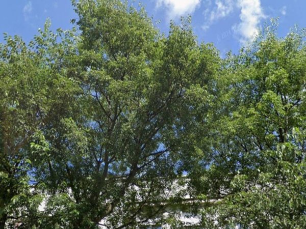 appartamento in vendita a Bologna in zona Savena