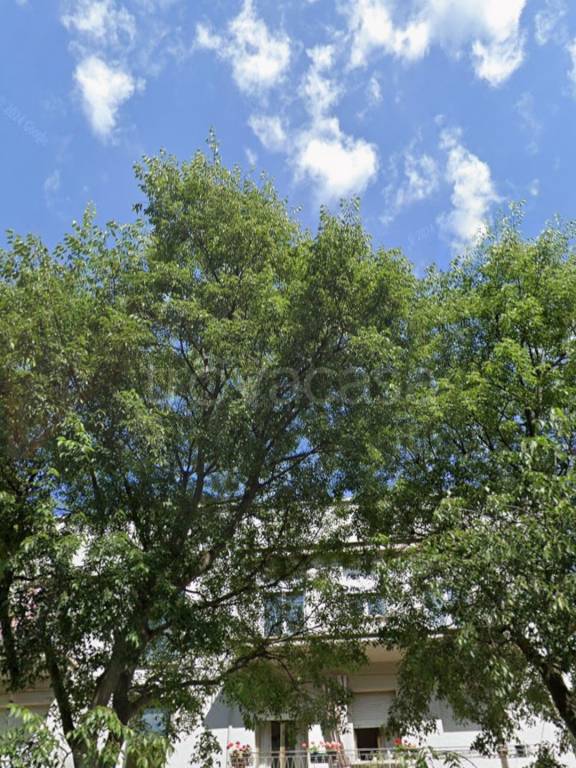 appartamento in vendita a Bologna in zona Savena