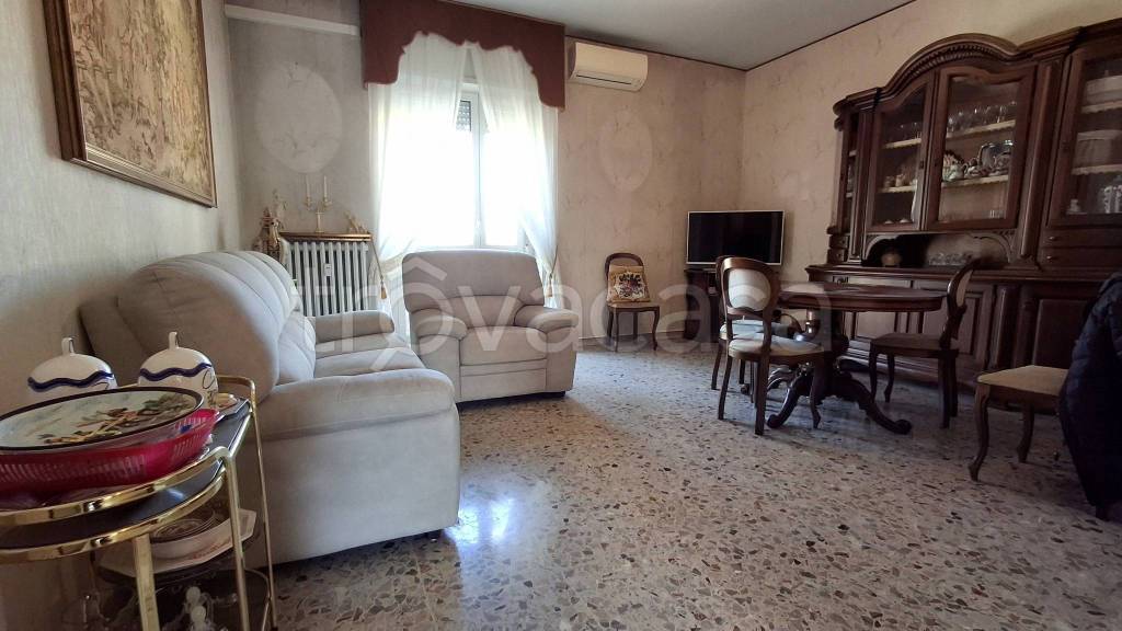 immagine annuncio 0 di 12