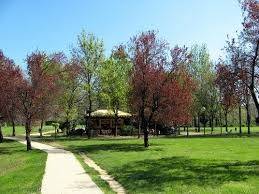 negozio in vendita a Bologna in zona Savena