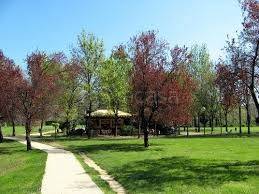 negozio in vendita a Bologna in zona Savena