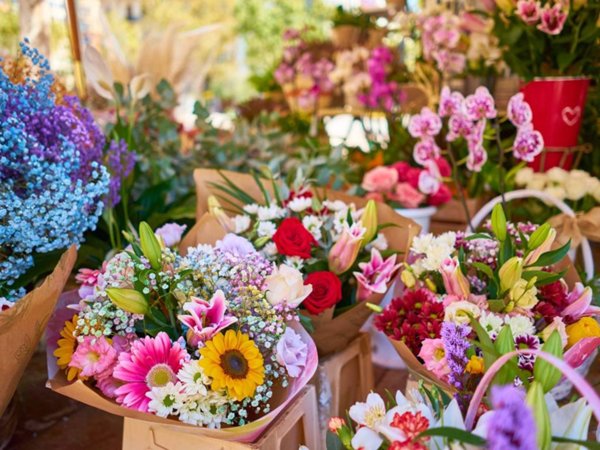 negozio in vendita a Bologna in zona Saragozza