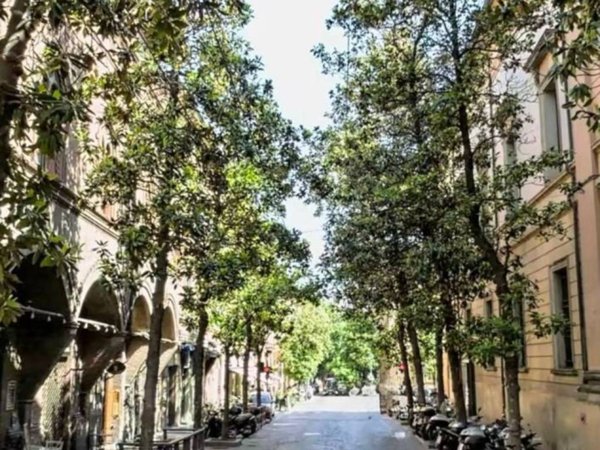 negozio in vendita a Bologna in zona Centro Storico