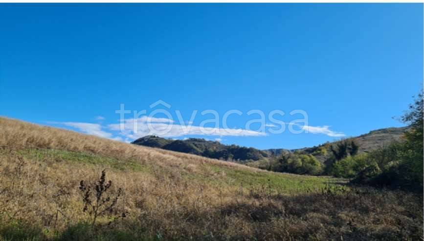 appartamento in vendita a Bologna in zona Colli