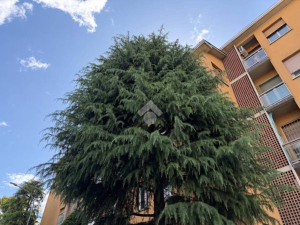 appartamento in vendita a Bologna in zona Fiera