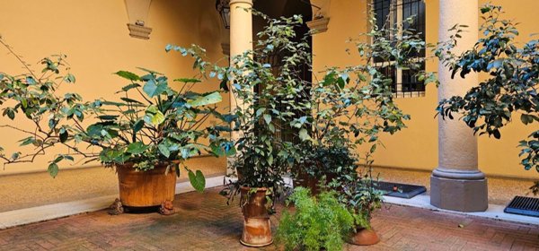 appartamento in vendita a Bologna
