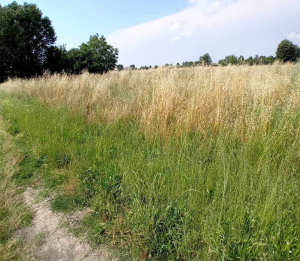 terreno agricolo in vendita a Bologna
