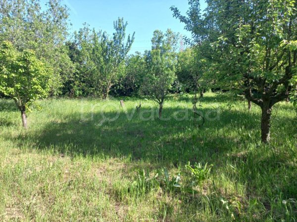 terreno agricolo in vendita a Bologna in zona Quartiere Navile