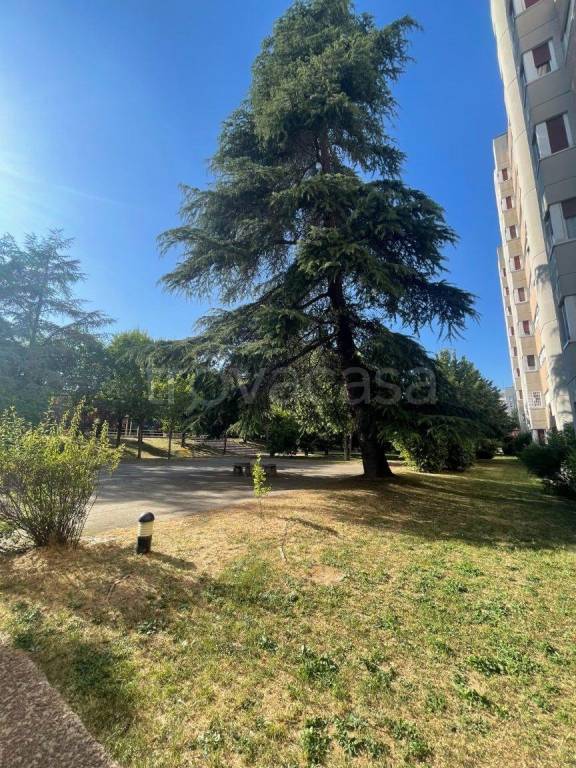 appartamento in vendita a Bologna in zona Savena