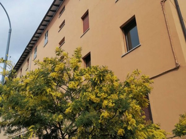 appartamento in vendita a Bologna in zona Bolognina