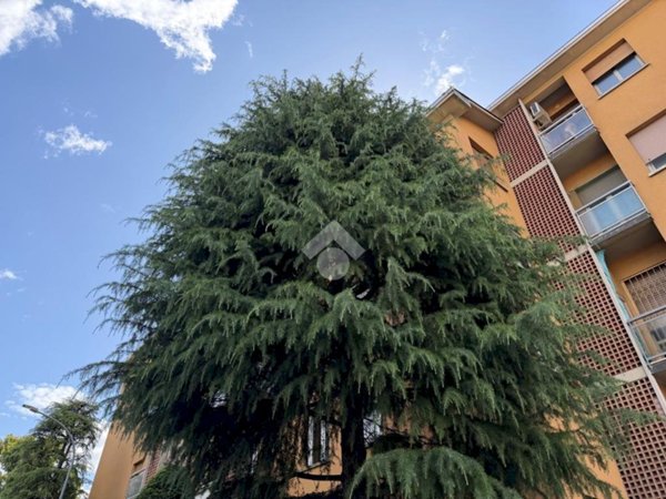 appartamento in vendita a Bologna in zona San Donato