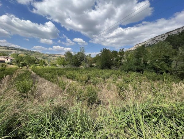 terreno agricolo in vendita a Borgo Tossignano in zona Tossignano