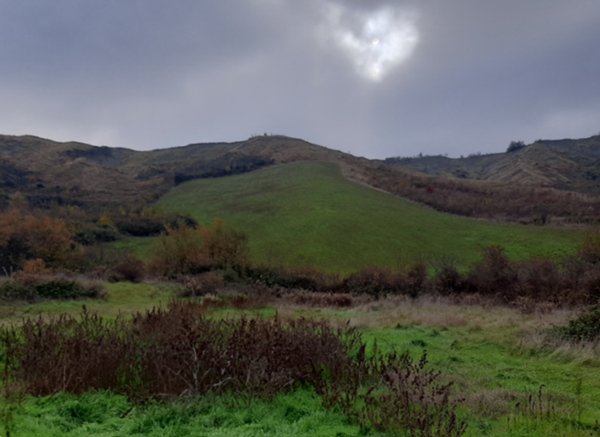 terreno agricolo in vendita a Borgo Tossignano in zona Tossignano