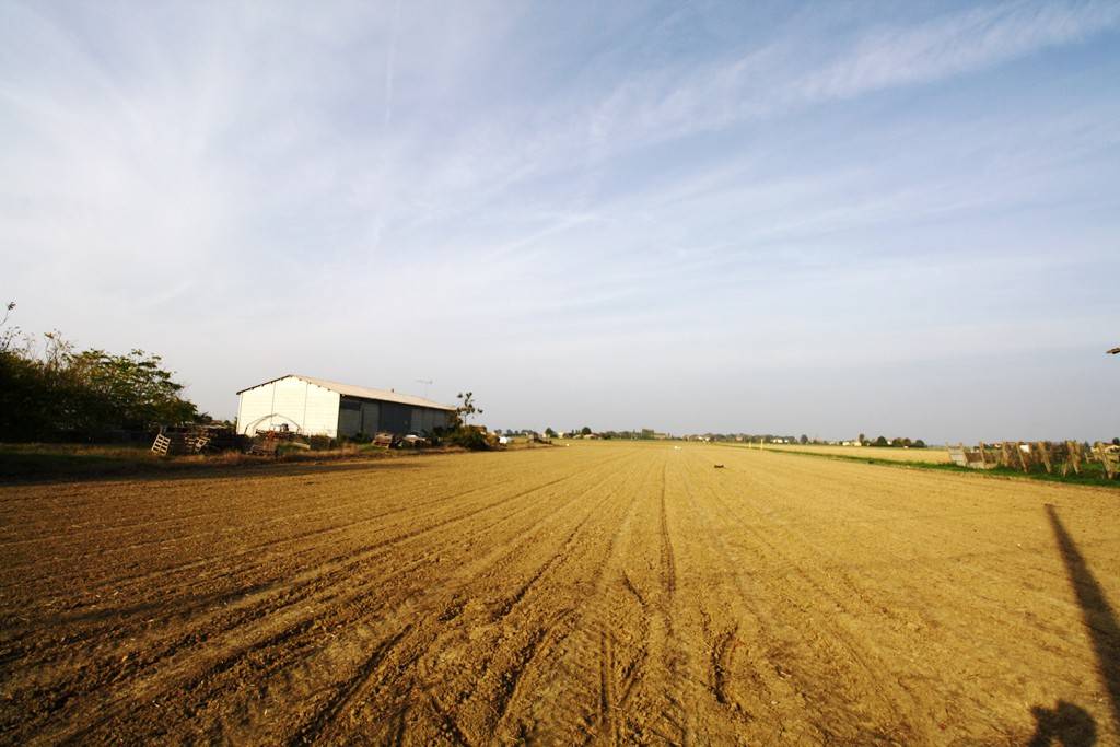 terreno agricolo in vendita a Budrio