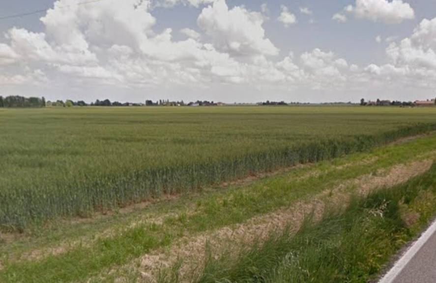 terreno agricolo in vendita a Budrio in zona Vedrana