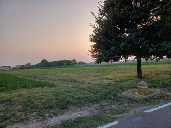 terreno agricolo in vendita a Budrio