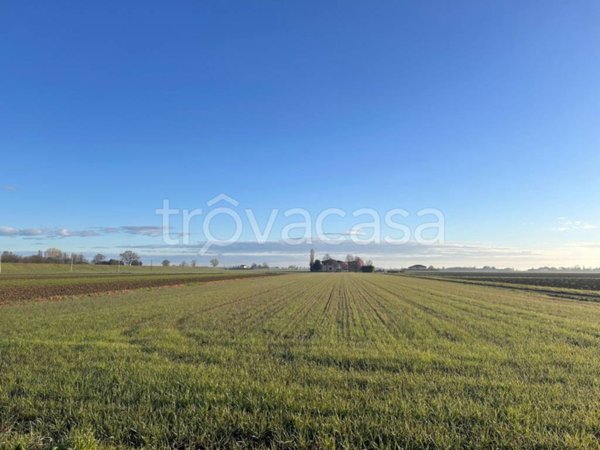 casale in vendita a Budrio in zona Mezzolara