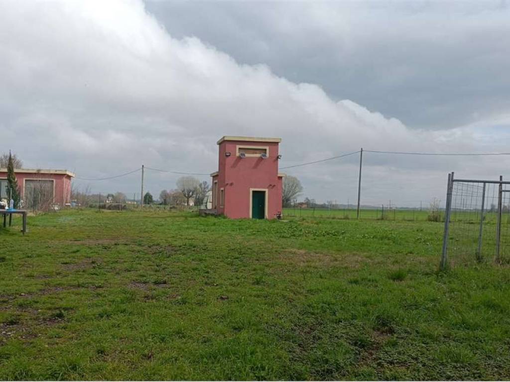 terreno agricolo in vendita a Budrio