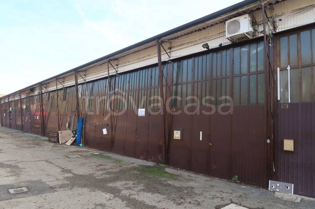 appartamento in vendita a Budrio in zona Mezzolara