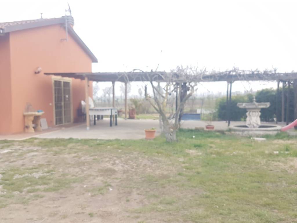 negozio in vendita a Budrio