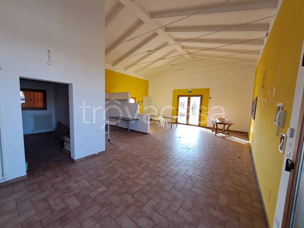 esavano in vendita a Budrio