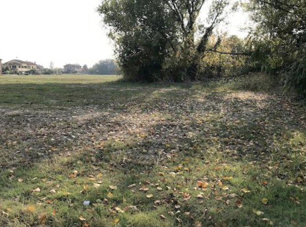 terreno edificabile in vendita a Budrio