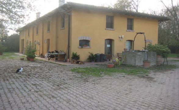 negozio in vendita a Budrio