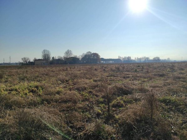 terreno agricolo in vendita a Budrio