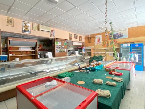 appartamento in vendita a Budrio in zona Mezzolara