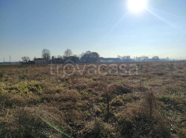 terreno agricolo in vendita a Budrio