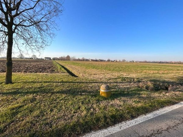 terreno agricolo in vendita a Budrio