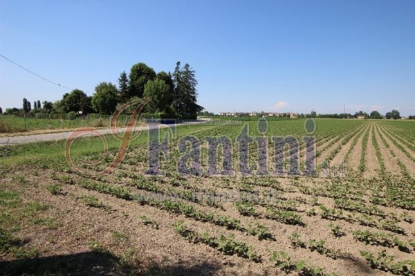 terreno agricolo in vendita a Calderara di Reno in zona Longara