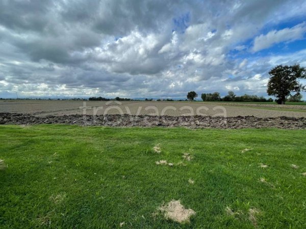 azienda agricola in vendita a Calderara di Reno