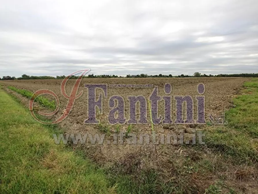 terreno agricolo in vendita a Calderara di Reno
