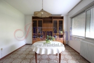 immagine annuncio 0 di 8